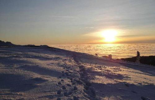 Das Kuenstlerhaus in Kammerstein - Photo 62