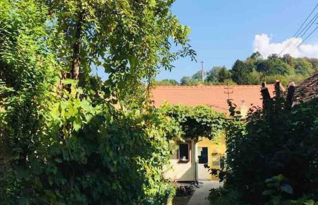 Peter House 24-7 - Self Check in - Foto 39