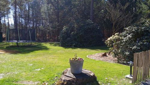 Gite meublé avec étang en lisière de forêt. - Photo 5, Garden view