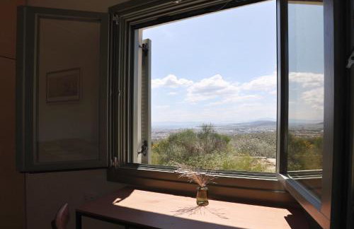 Admonis - Home in the olive grove - Foto 32