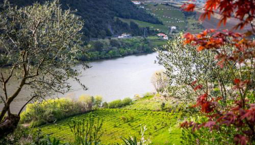 Fraga Douro House, Douro Valley - Foto 5