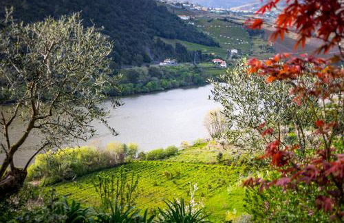 Fraga Douro House, Douro Valley - Foto 5