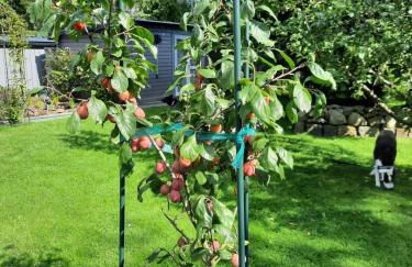 FEWO im alten Bahnhof - Foto 19