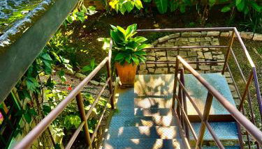 Casa da árvore - Foto 3