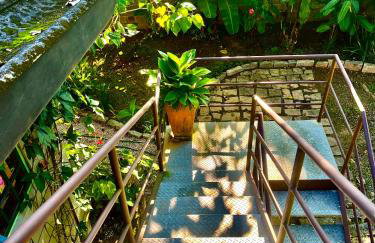 Casa da árvore - Foto 3