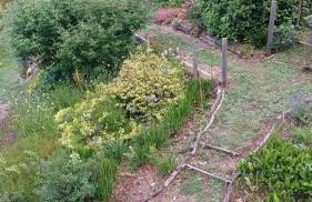 Le Moulin de Pouzoult - Foto 59