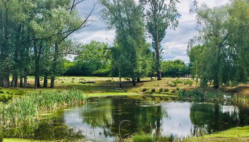 Cedar Lodge - Foto 3