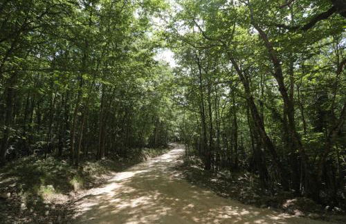 Borghetto Poggio Bianco - Foto 24