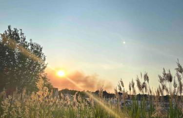 Place to beee - Foto 22