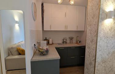 Luxury studio next to beaches and old town Antibes - Foto 34