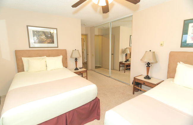 The Grey Gull - Foto 26