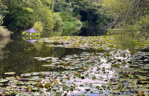 The Lodge At The Lake House - Foto 26
