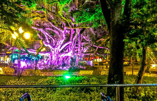 Ônibus turístico por Florianópolis ao entardecer - Foto 2