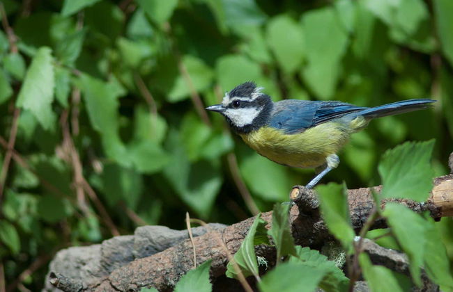 Trekking nella riserva di Inagua - Foto 2