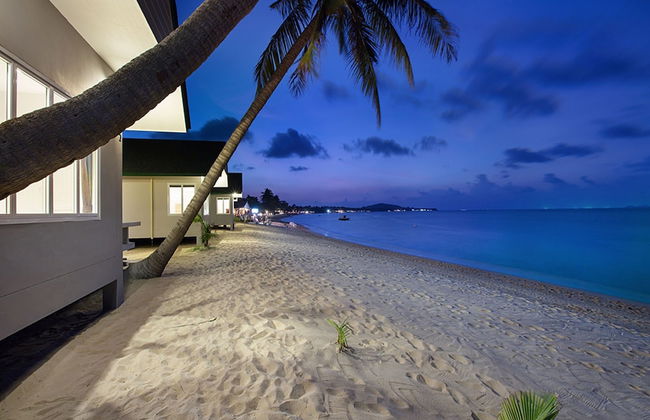 The Moonrakers - Photo 47