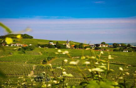 The Sparkling Castle - Foto 37