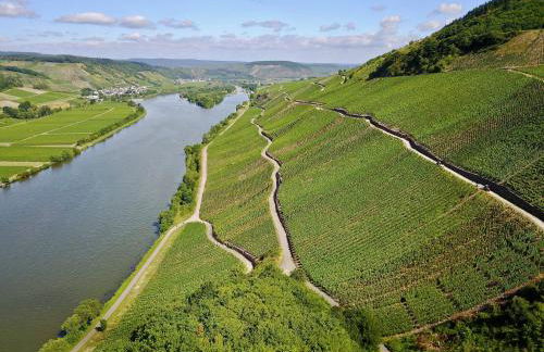 Bernkasteler Moselpanorama - Foto 13