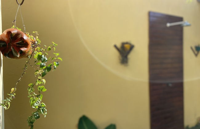 Casa Incrível na Vivenda do Iguape - Photo 18