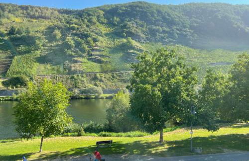 Altes Winzerhaus am Moselufer - Klosterberg - Foto 18