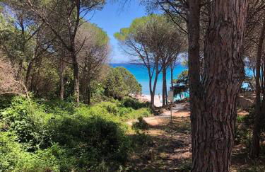 Mare Turchese - Foto 46