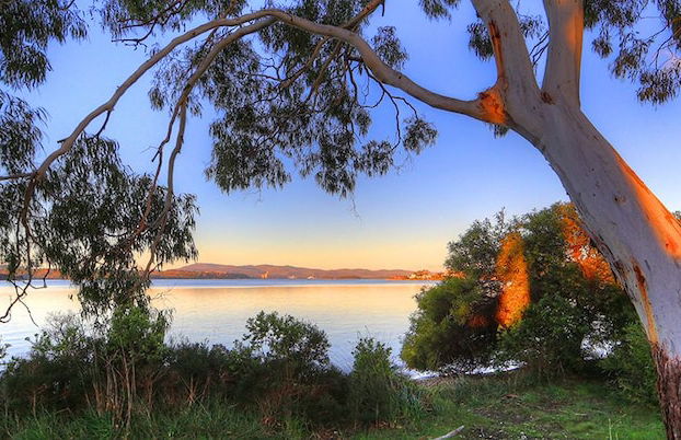 Beauty Point Tourist Park - Foto 49