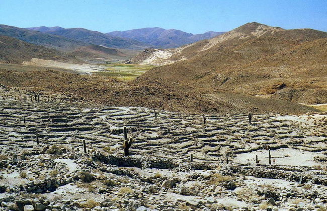 Day Trip to the Toro Lagoon - Photo 3