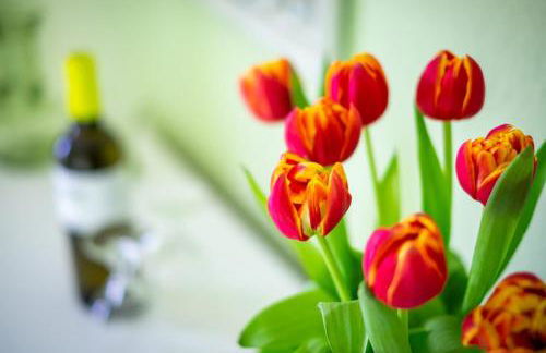 Ferienwohnung am Kunterbunthof - Foto 64