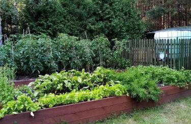 Chata u Żochów - Foto 55