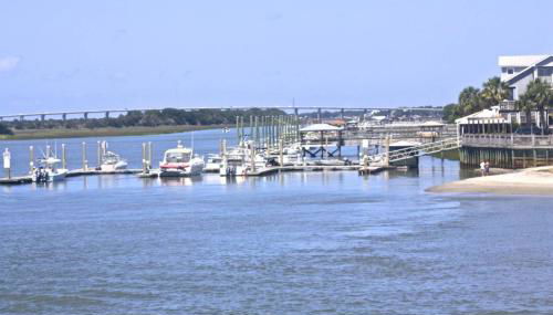 Green Whale - Foto 3