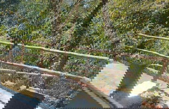 Tay Bac Sky Homestay - Foto 11