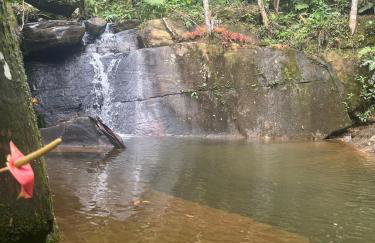 Vale das Quaresmeiras - Foto 73