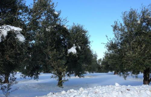 Chez-Antoinette - Foto 67