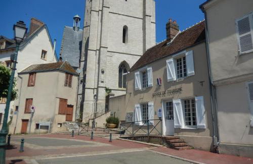 Calme et verdure en plein coeur d Illiers Combray - Foto 17