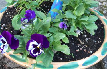 Winkston Holiday Accommodation Peebles - Foto 44