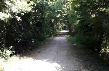 Tenuta Crescentini-ValleMura ,appartamenti con entrata indipendente - Foto 64