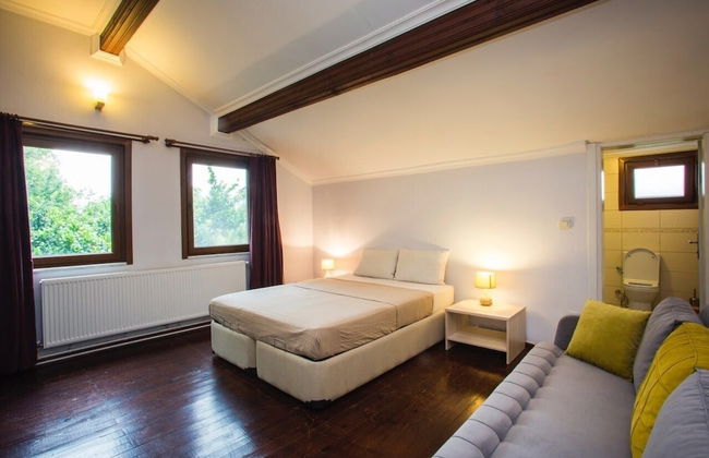 Oykum Villa Sapanca - Foto 4