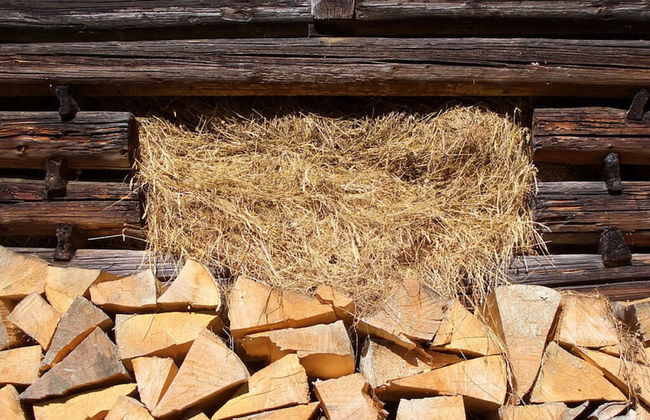 In het Blauwe Huis - Zolderverdieping - Foto 28