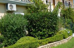 Το Είδωλον - Foto 12