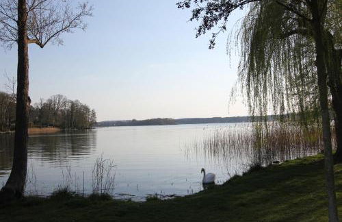 K8 FeWo - Am Kurpark - Therme - Foto 57