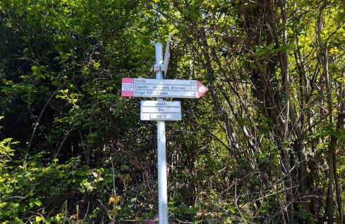 Holiday Home Casa Kiwi by Interhome - Photo 19