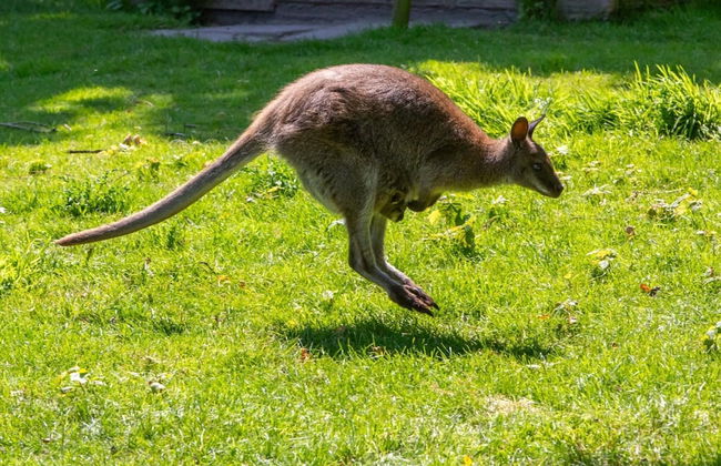 Cozy 4-person Stay at Rustenpolder - Photo 22