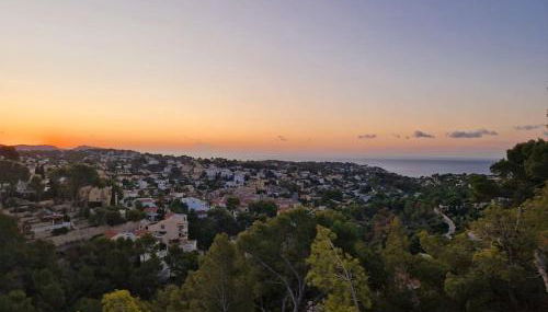 Noahs Paradise - Foto 2