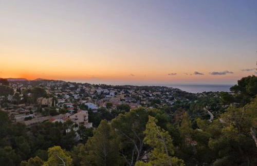 Noahs Paradise - Foto 2