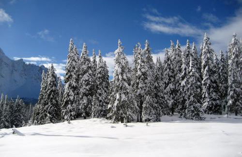 Residence Aichner - Foto 65