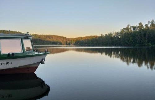 Waldidylle - Bungalows an der Talsperre Kriebstein - Foto 11