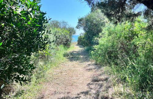 Casa duna sulla spiaggia - Foto 5