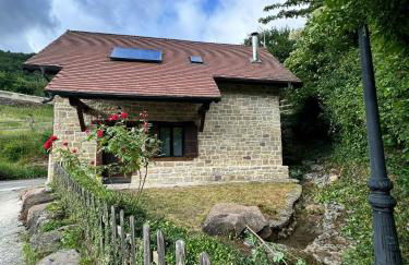 La central de Azparren, junto a la Selva de Irati - Foto 20