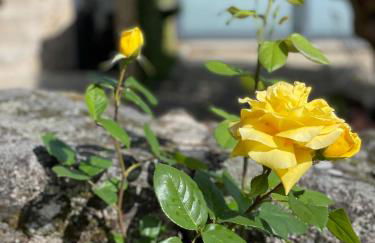 Casa De Santo Andre - Foto 59