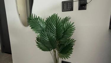 Flat Praia da Graciosa - Foto 3