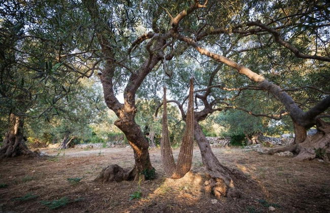 Sea View Villa in Prinès with Private Pool near Rethymnon - Foto 32